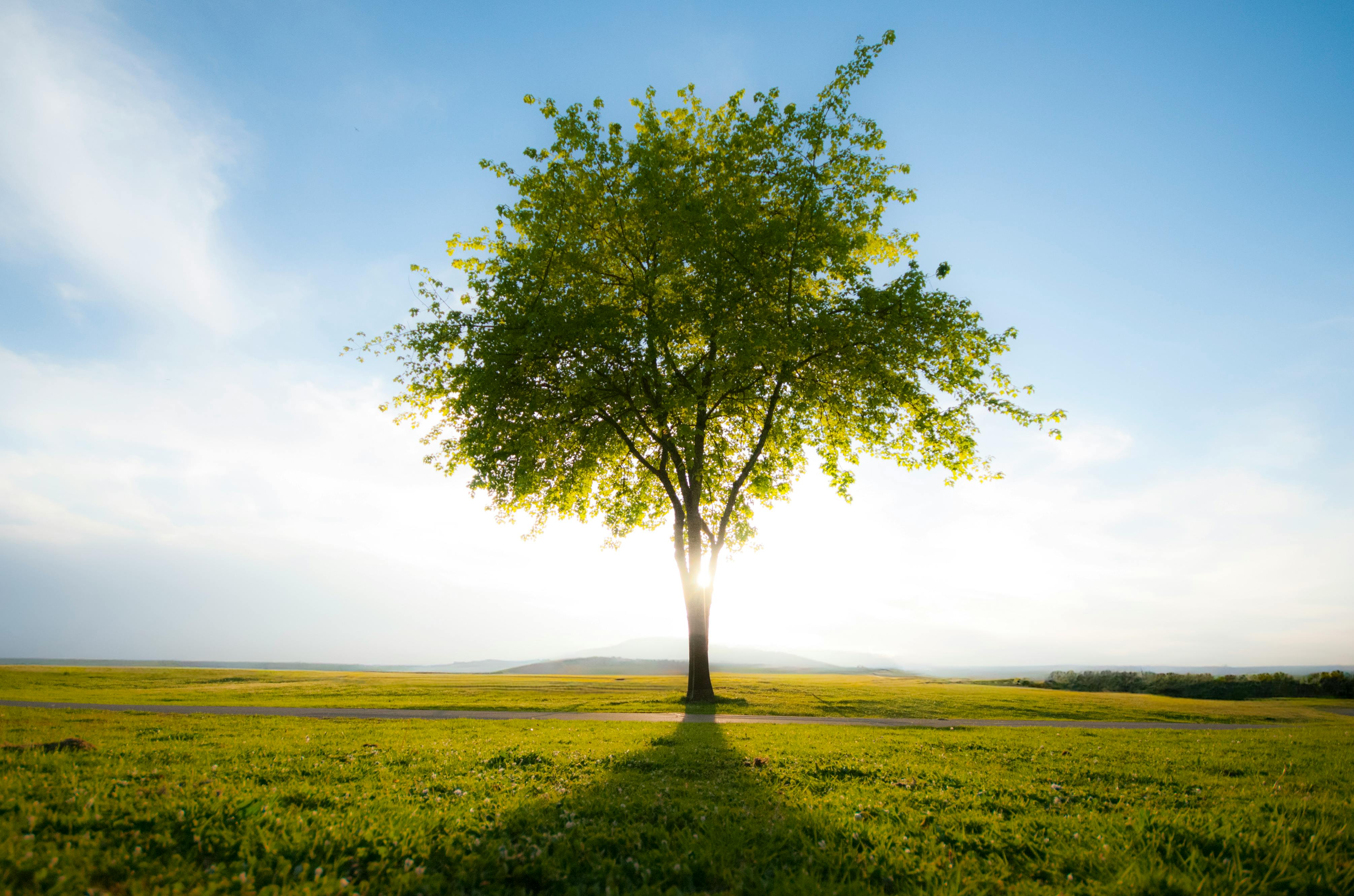 Evaluate Index Strategies Beyond Big-O Complexity